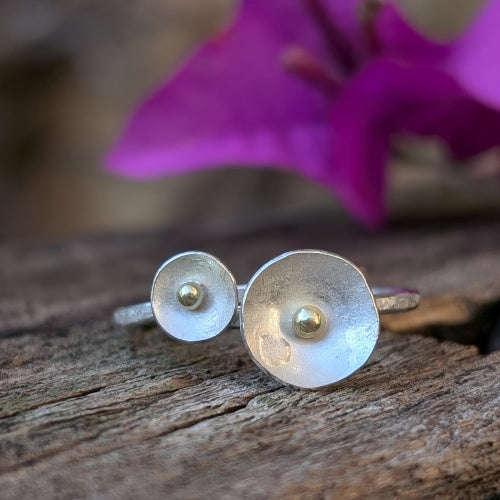 Double Lunar Rings