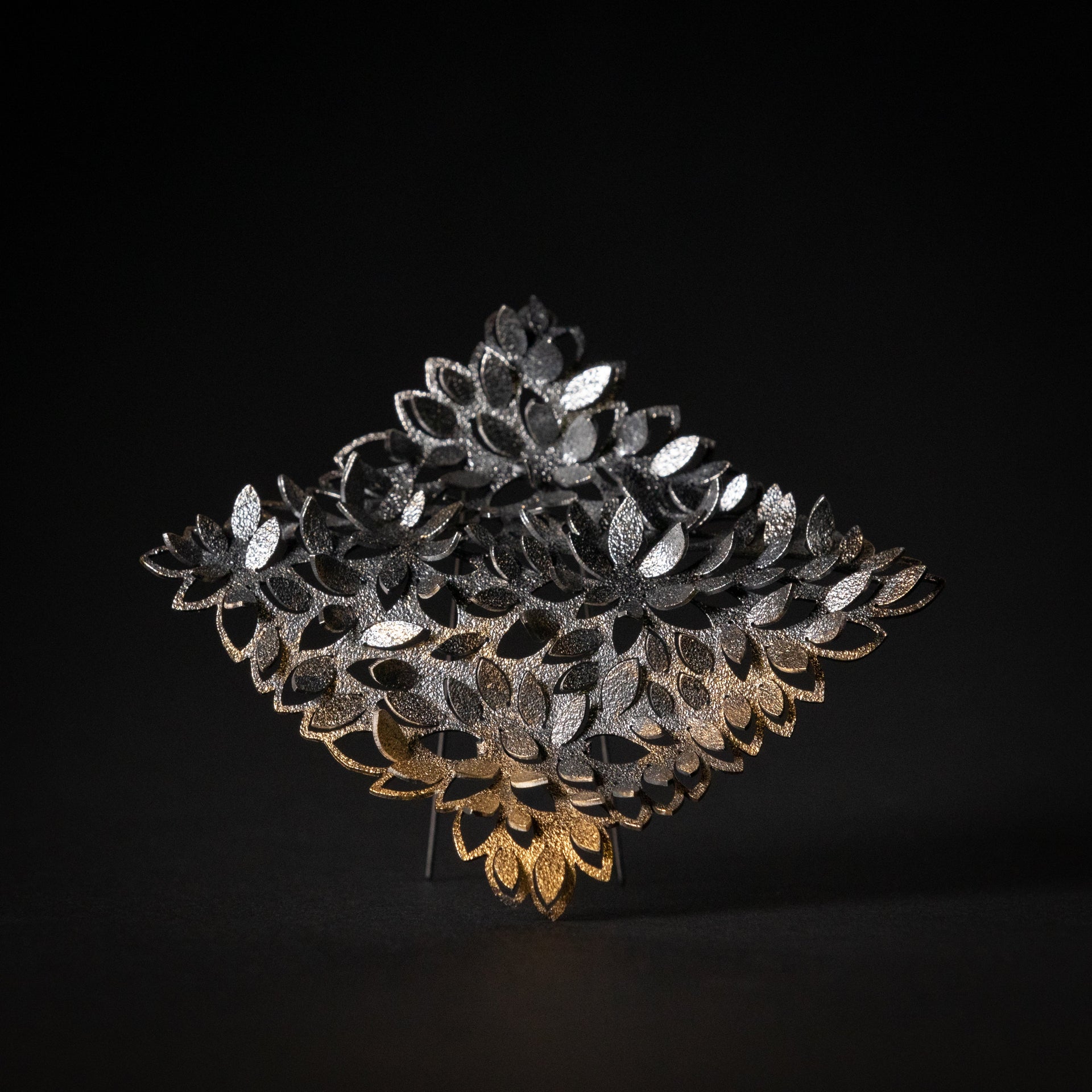 Rachael Plassard