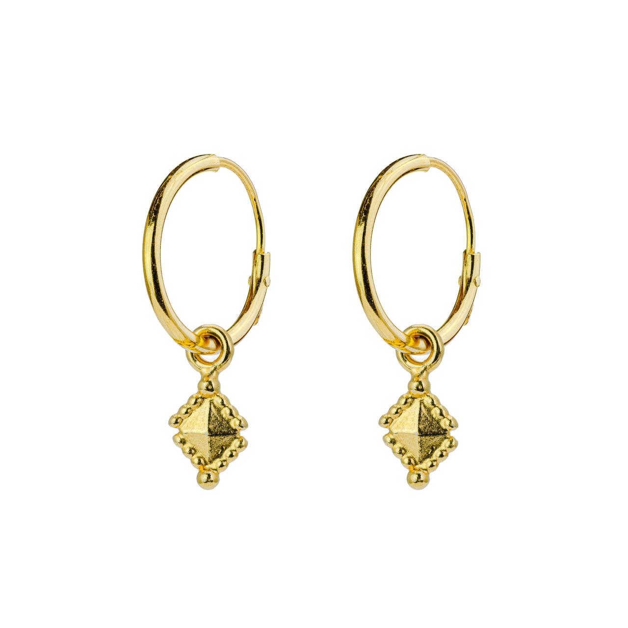 Tekhenu Gold Hoop Earrings