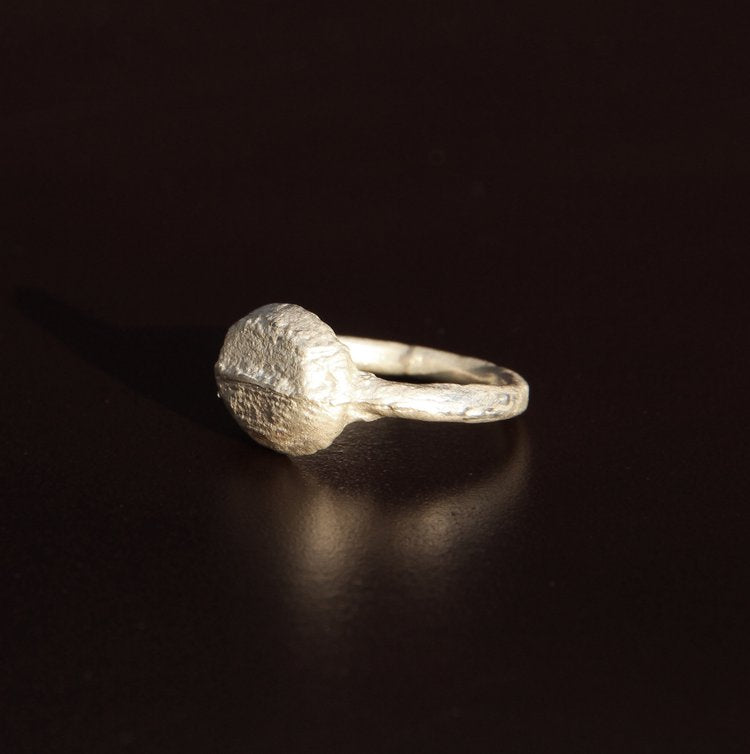 Silver ptolemy ring
