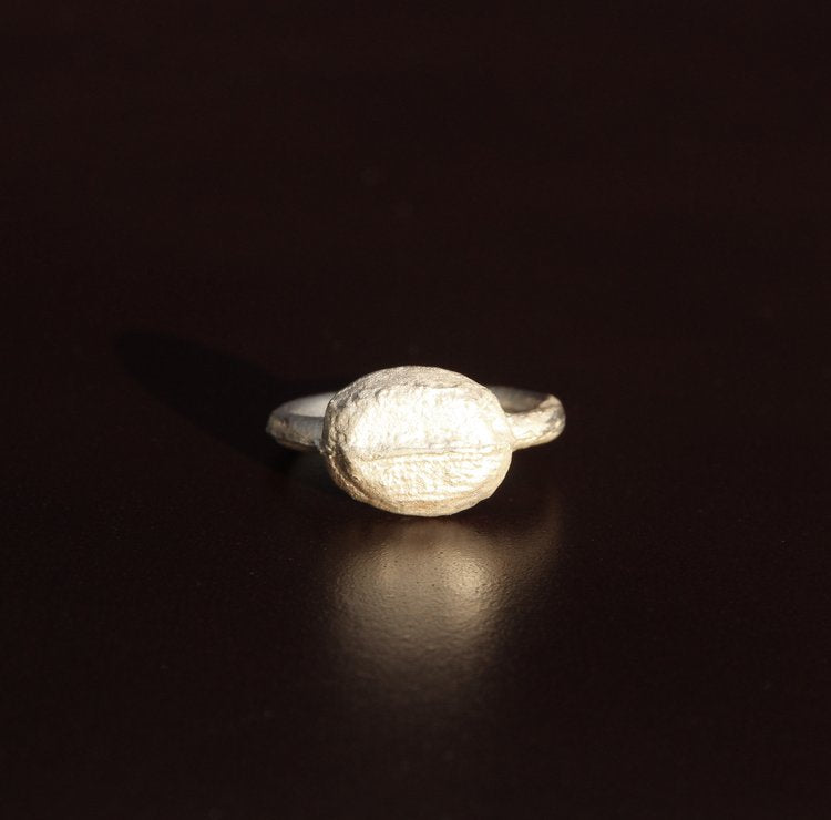 Silver ptolemy ring